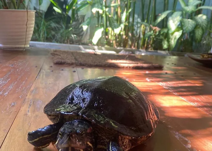 My Secret * Seminyak (Bali)